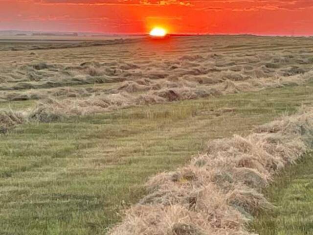 Hwy 23 Rural Foothills Alberta