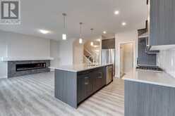 179 Wolf River Drive Calgary