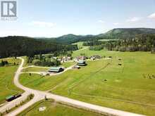 11 Black Bear Rural Foothills