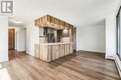 4C, 133 25 Avenue SW Calgary