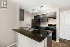 404, 15 Saddlestone Way NE Calgary