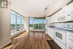 513, 30 Brentwood Common NW Calgary