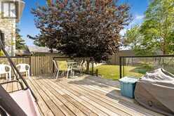 166 Harvest Rose Circle NE Calgary