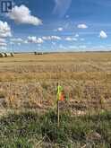 Lot 1 (SW 36-28-29-W4) Rge Rd 291 Rural Rocky View