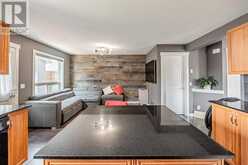 335 Saddlebrook Circle NE Calgary