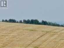 Symons Valley Rural Rocky View