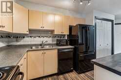 317, 1717 60 Street SE Calgary