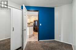 317, 1717 60 Street SE Calgary