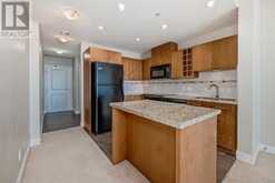 1803, 77 Spruce Place SW Calgary