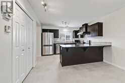 155 Skyview Point Crescent NE Calgary