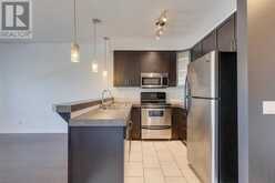 309, 1108 15 Street SW Calgary