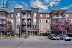 217, 7110 80 Avenue NE Calgary