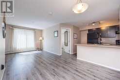 217, 7110 80 Avenue NE Calgary