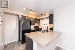 217, 7110 80 Avenue NE Calgary