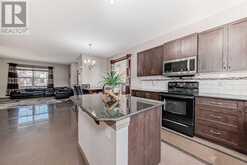 19 Skyview Springs Rise NE Calgary