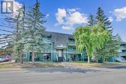 9203, 315 Southampton Drive SW Calgary