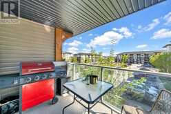 3309, 240 Skyview Ranch Road NE Calgary