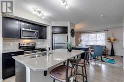 17 Silverado Drive SW Calgary