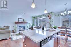 21 Saddlelake Gardens NE Calgary