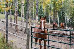 231192 Forestry Way Rural Rocky View