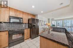 2203, 1078 6 Avenue SW Calgary