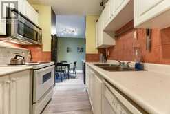 419, 30 Mchugh Court NE Calgary