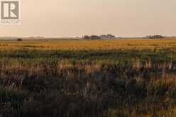 Parcel 6 Range Road 271 just south of Highway 9. Rural Rocky View