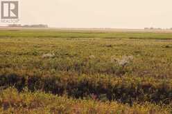 Parcel 8 Range Road 271 just south of Highway 9. Rural Rocky View