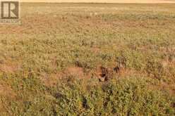 Parcel 8 Range Road 271 just south of Highway 9. Rural Rocky View