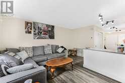 268 Saddlebrook Pointe NE Calgary