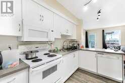 268 Saddlebrook Pointe NE Calgary