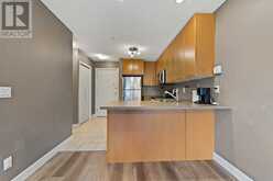 # 202, 35 Richard Court SW Calgary