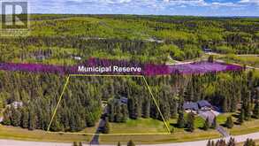 58 Mountain Lion Drive Bragg Creek