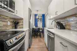 101, 313 20 Avenue SW Calgary