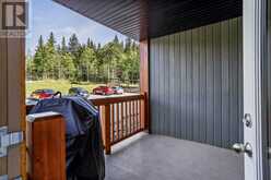 116, 300 Palliser Lane Canmore