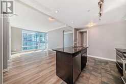 1201, 215 13 Avenue SW Calgary