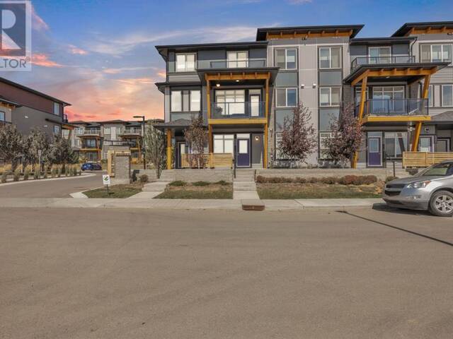 282 Seton Passage SE Calgary Alberta