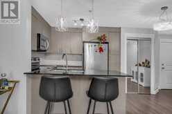 4111, 240 Skyview Ranch Road NE Calgary