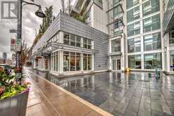 208, 1020 9 Avenue SE Calgary