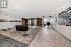 208, 1020 9 Avenue SE Calgary