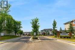 218, 300 Marina Drive Chestermere