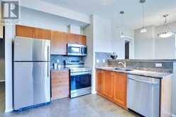 316, 1053 10 Street SW Calgary