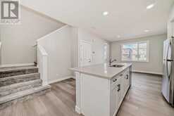 252 Savanna Terrace NE Calgary