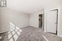 252 Savanna Terrace NE Calgary