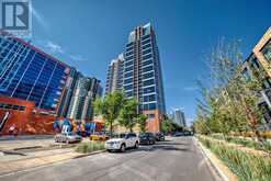 2502, 211 13 Avenue SE Calgary