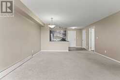 316, 15 Saddlestone Way NE Calgary