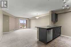 316, 15 Saddlestone Way NE Calgary