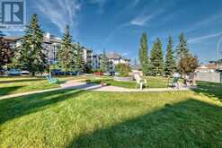 215, 55 Arbour Grove Close NW Calgary