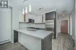 3113, 95 Burma Star Road SW Calgary