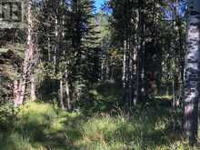 Grand Valley Road and Range Road 54 Rural Rocky View